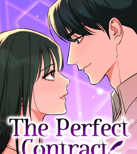 The Perfect Contract封面